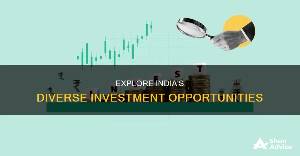 what are different investment options in india