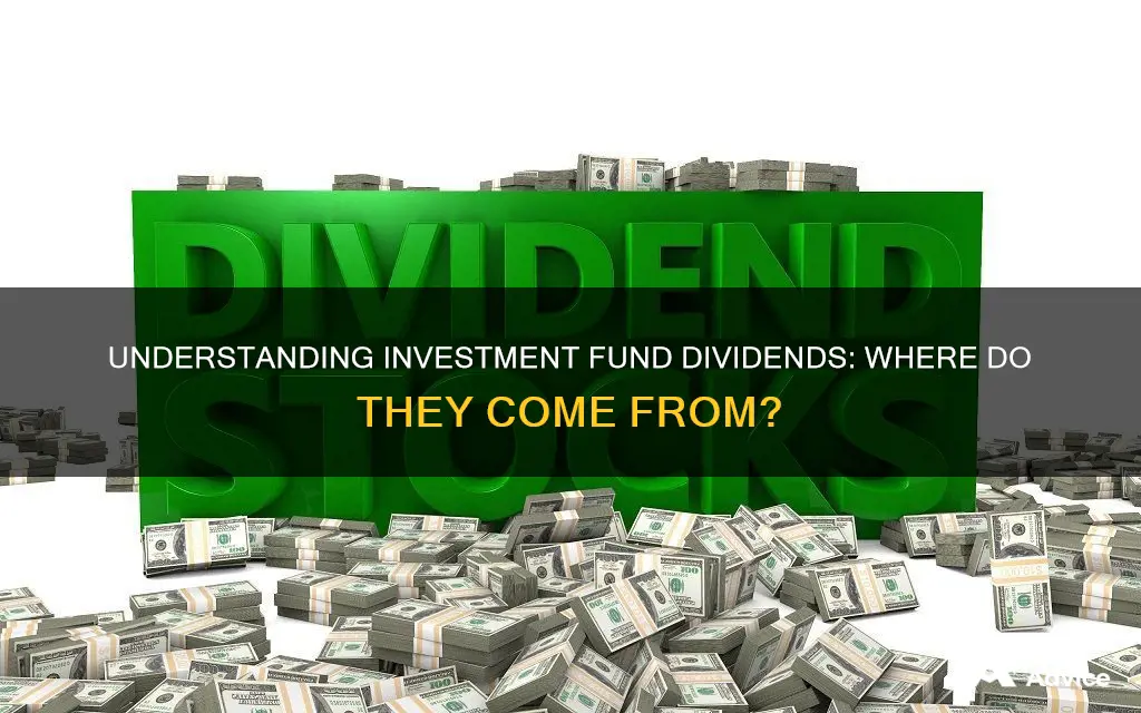 what are dividents on my investment fund