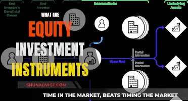 Equity Investment Instruments: Understanding the Basics