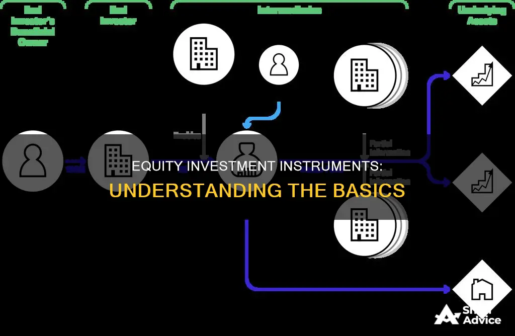 what are equity investment instruments