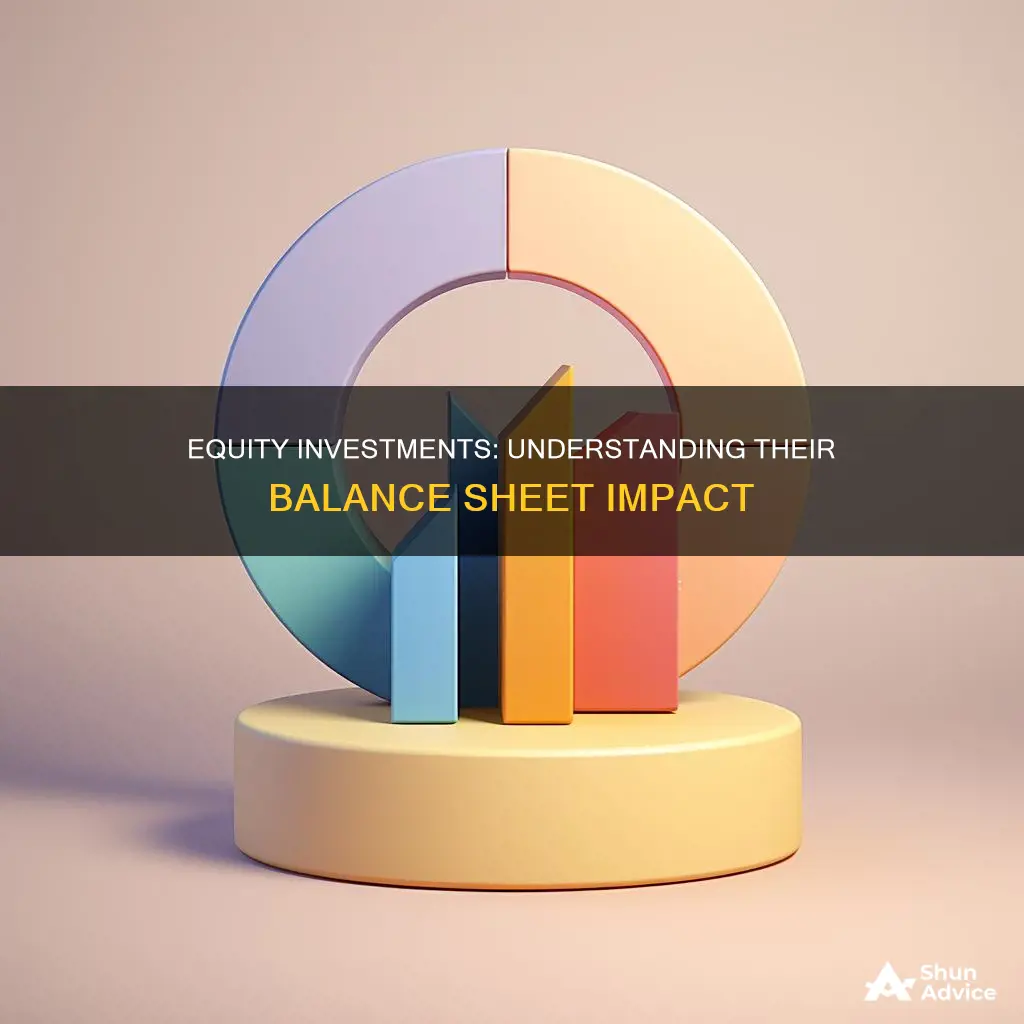 what are equity investments on balance sheet