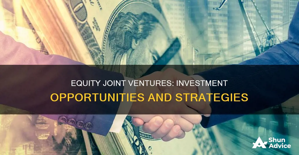 what are equity joint ventures in investments