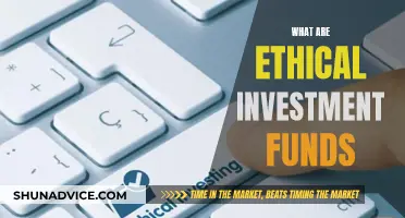 Ethical Investment Funds: Where Should Your Money Go?