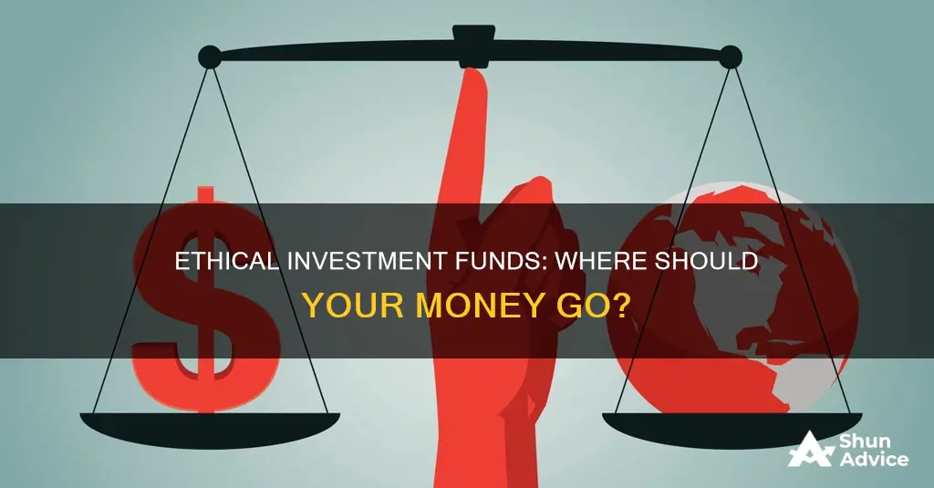 what are ethical investment funds