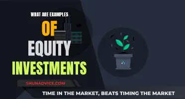 Equity Investment Examples: Understanding Your Portfolio Better