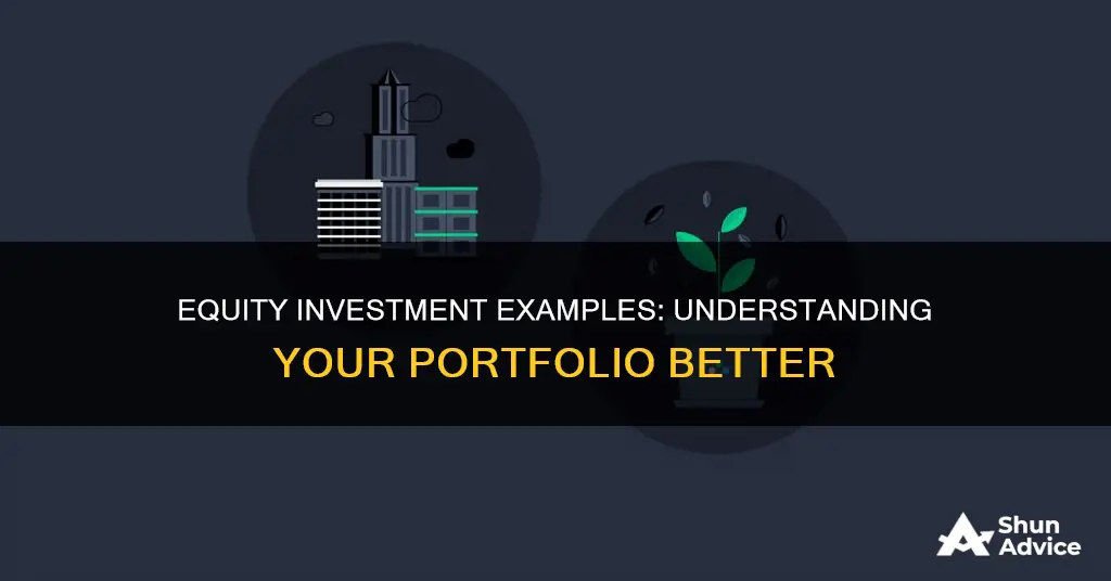 what are examples of equity investments