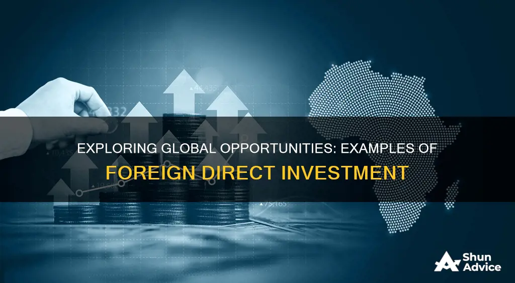 what are examples of foreign direct investment