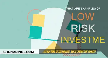 Low-Risk Investment Examples for the Cautious Investor