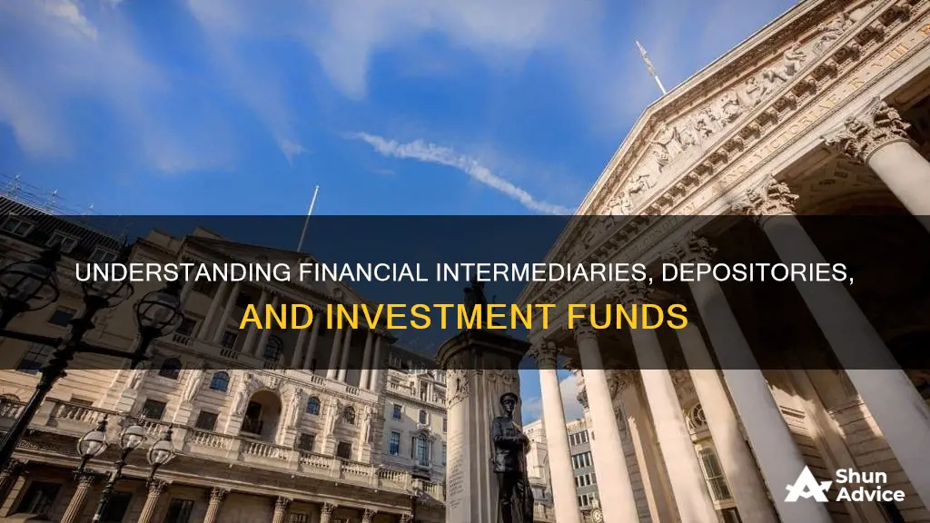 what are financial intermediaries depository institutes and investment funds