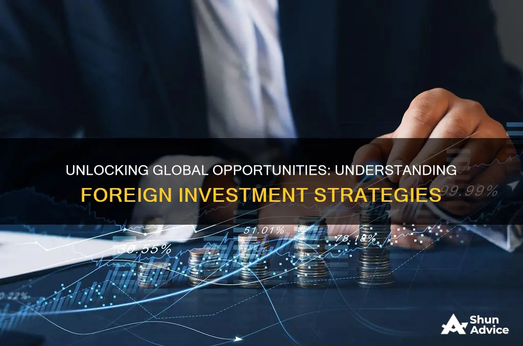 what are foreign investments