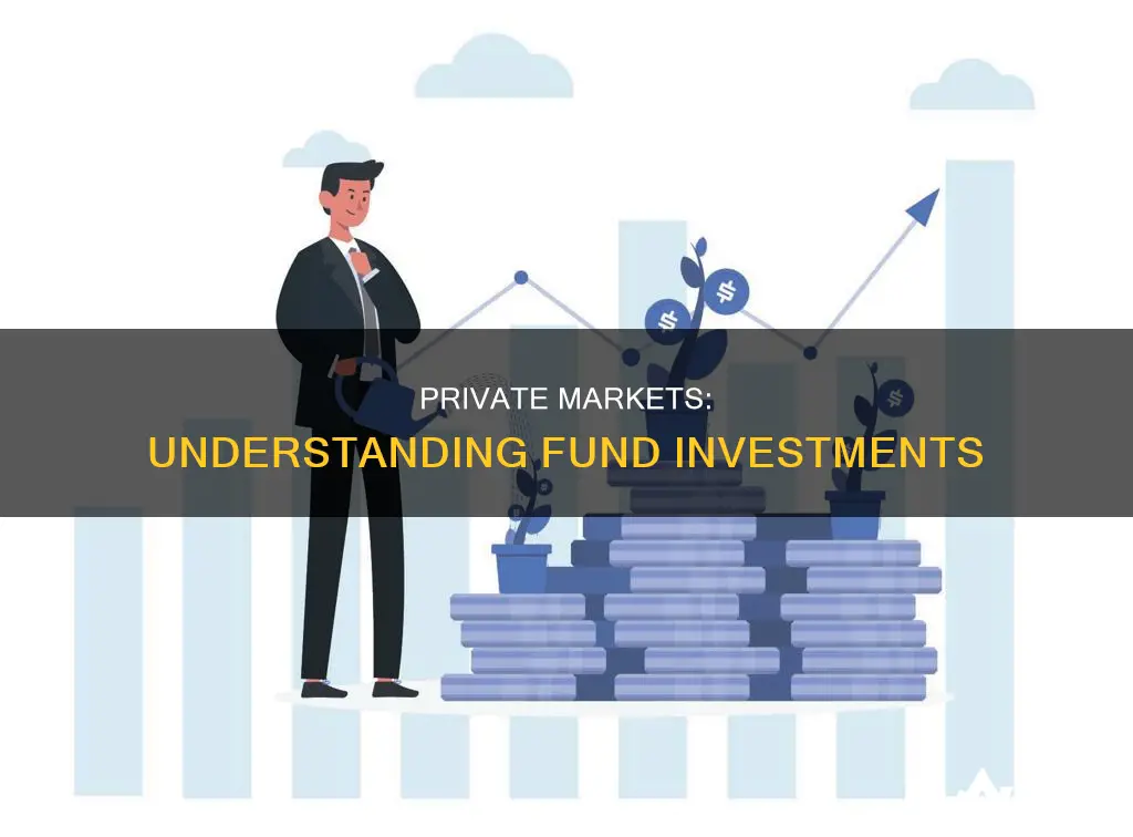 what are fund investments private markets