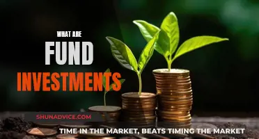 Understanding Fund Investments: Where to Start and How