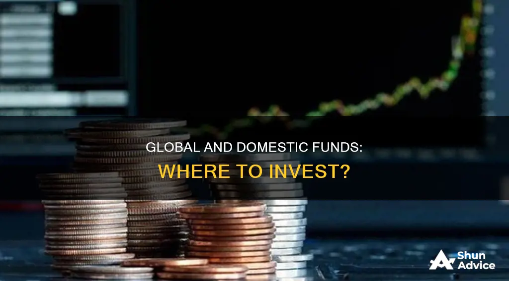 what are funds that invest in international and domestic companies