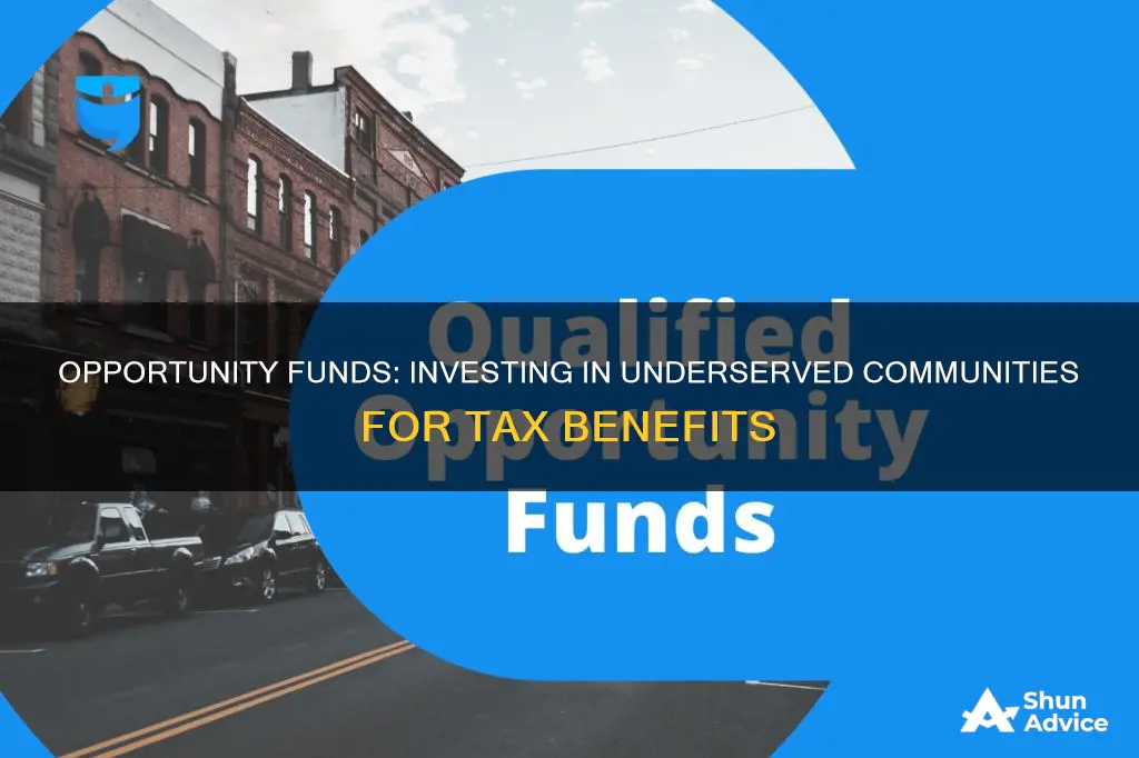 what are gains invested in opportunity funds