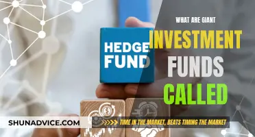 Understanding Giant Investment Funds: What Are They Called?