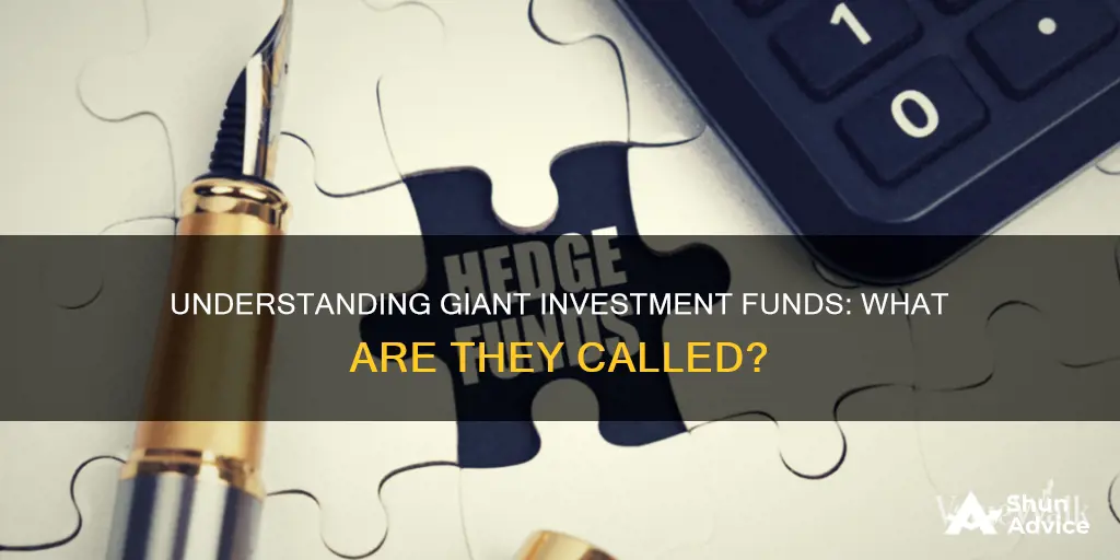 what are giant investment funds called