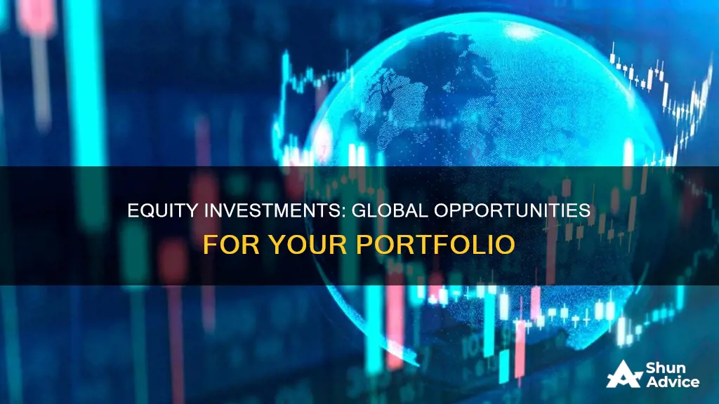 what are global equity investments