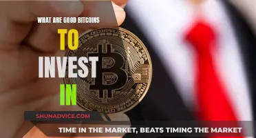 Best Bitcoin Investments: Where to Put Your Money?