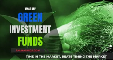 Green Investment Funds: Sustainable Finance for a Greener Future