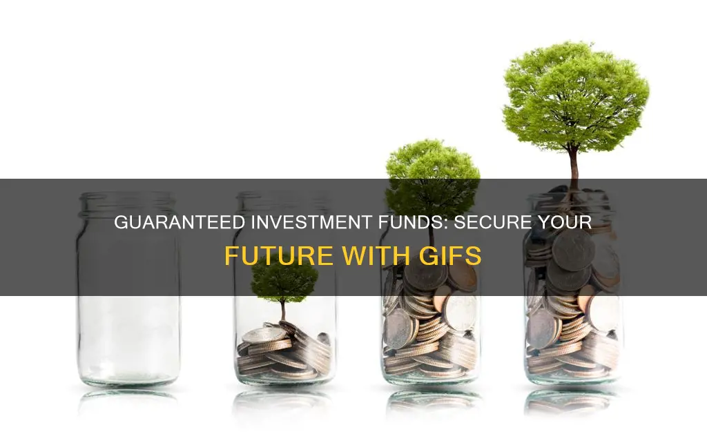 what are guaranteed investment funds