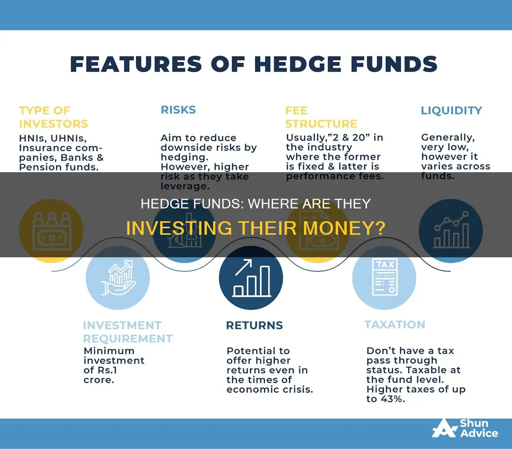 what are hedge funds invested in