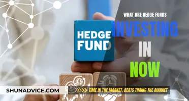 Hedge Funds: Current Investment Trends and Insights