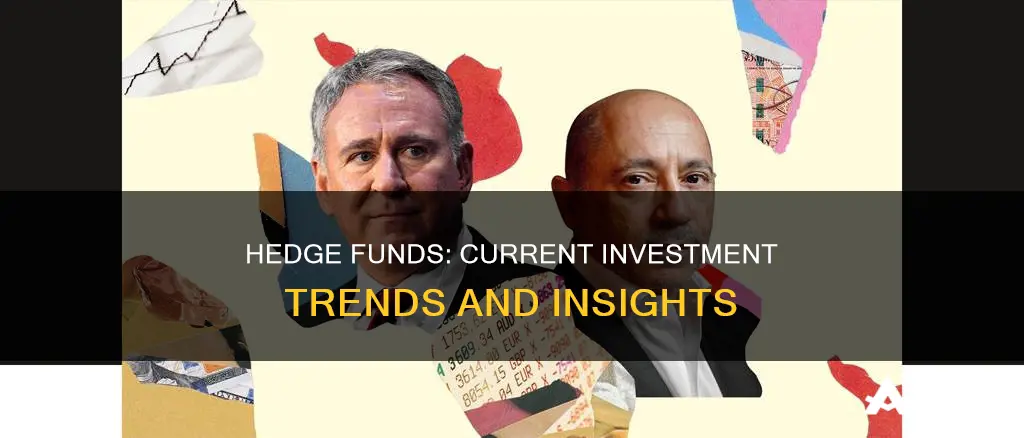 what are hedge funds investing in now