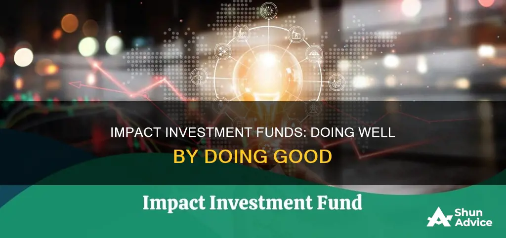 what are impact investment funds