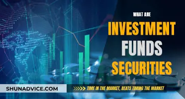 Understanding Investment Funds Securities: Risks and Rewards