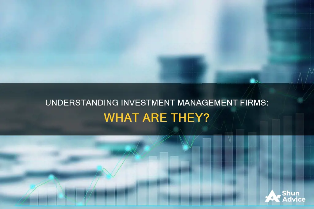 what are investment management firms