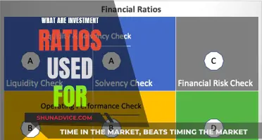 Understanding Investment Ratios: Unlocking Financial Insights