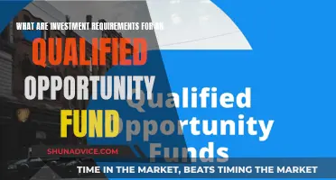 Understanding Opportunity Zone Fund Investment Requirements