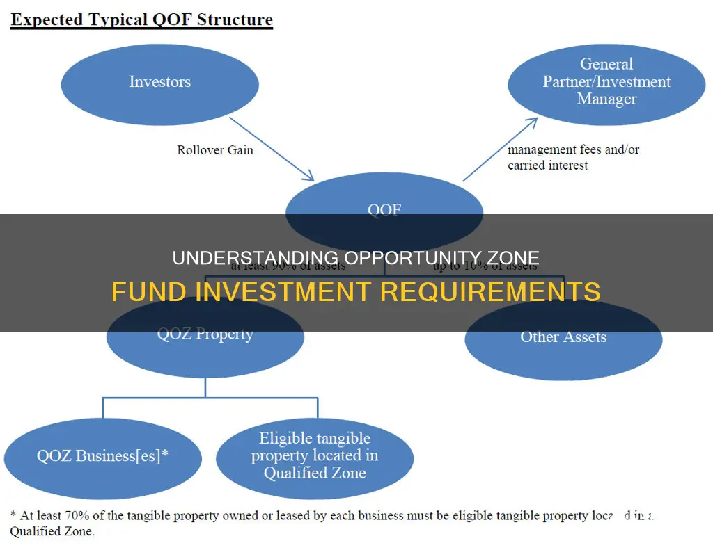 what are investment requirements for an qualified opportunity fund