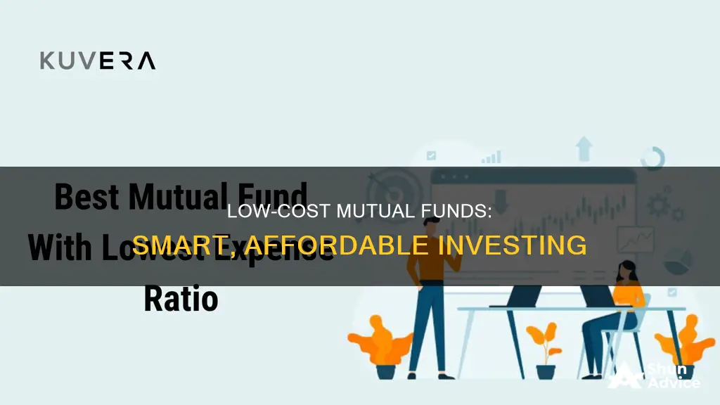 what are low investment mutual funds