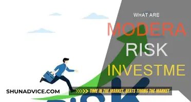 Exploring Moderate-Risk Investments: Strategies for Balanced Portfolios