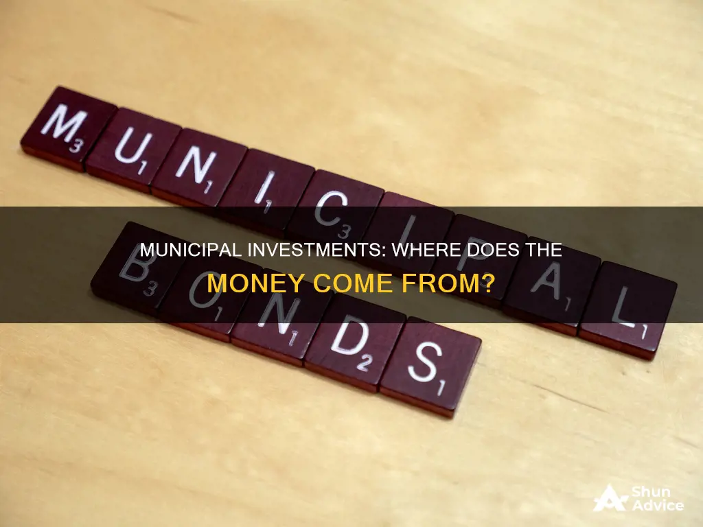 what are municipal invested funded