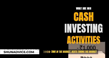 Non-Cash Investing Activities: Understanding the Intangible Investments