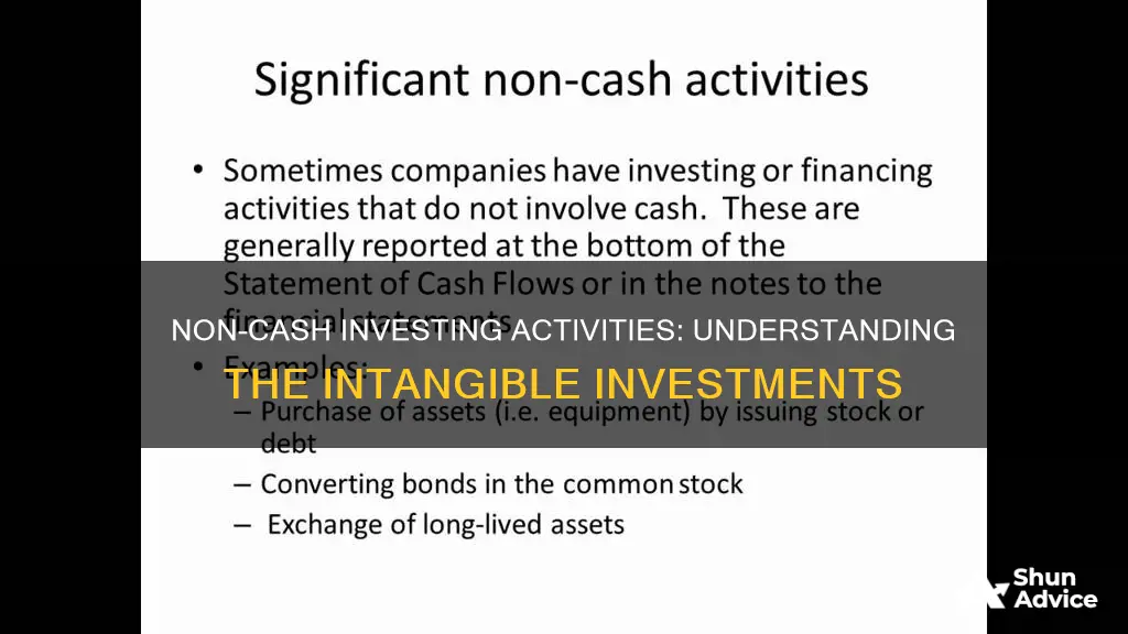 what are non cash investing activities