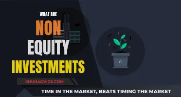 Non-Equity Investments: What Are They?