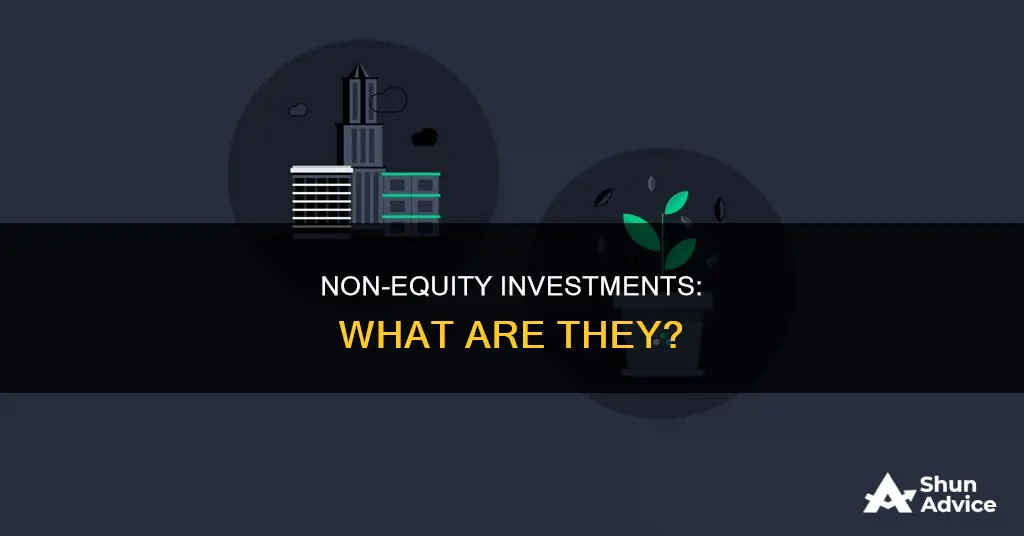 what are non equity investments