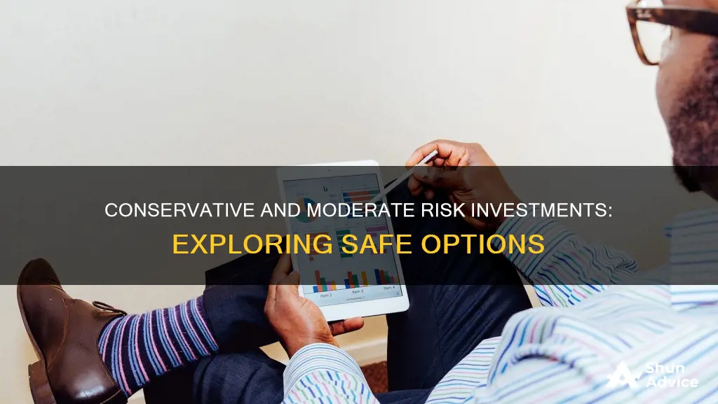 what are options for conservative and moderate risk investments