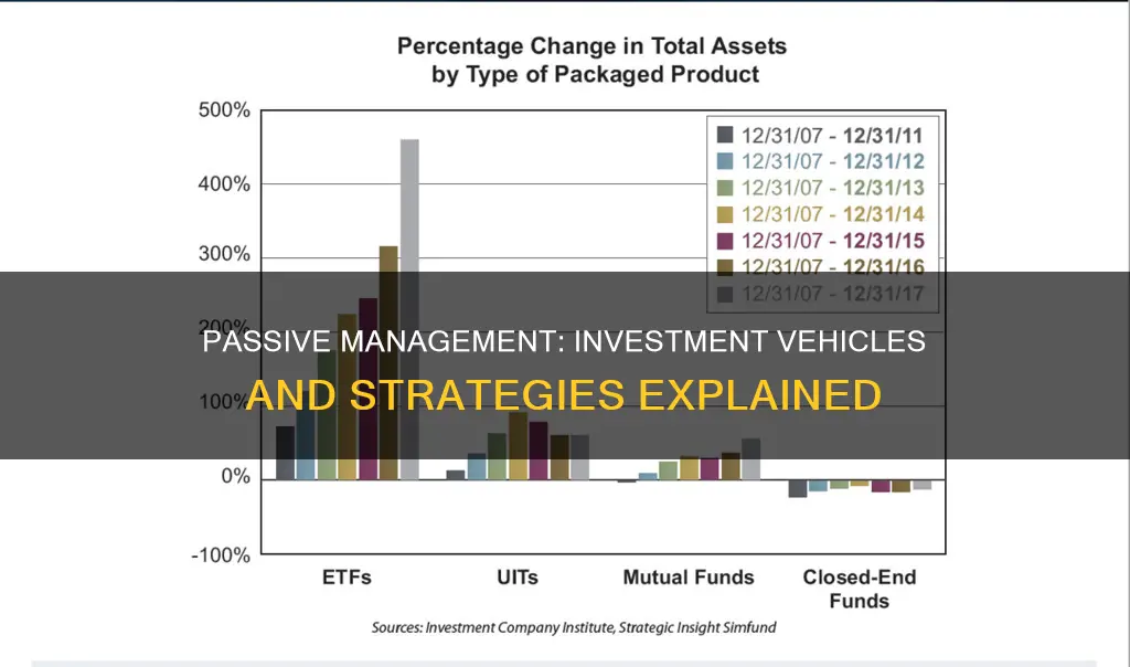 what are passive management investment vehicles