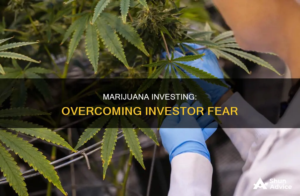 what are people afraid of marijuana investing