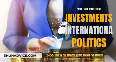 Portfolio Investments: Global Politics' Impact