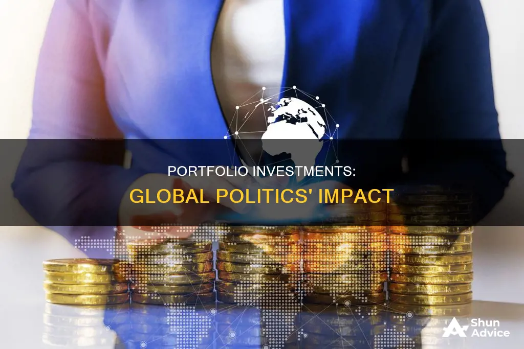 what are portfolio investments international politics