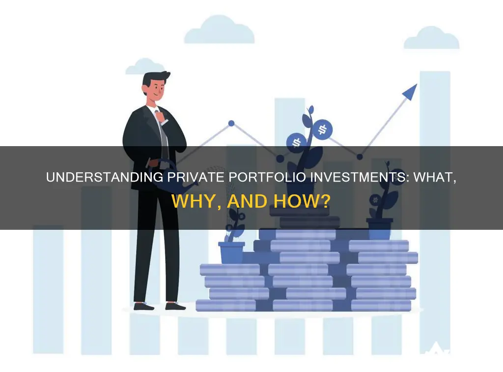 what are private portfolio investments