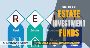 Real Estate Investment Funds: How Do They Work?