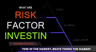 Risk Factor Investing: Unlocking the Power of Risk-Based Strategies