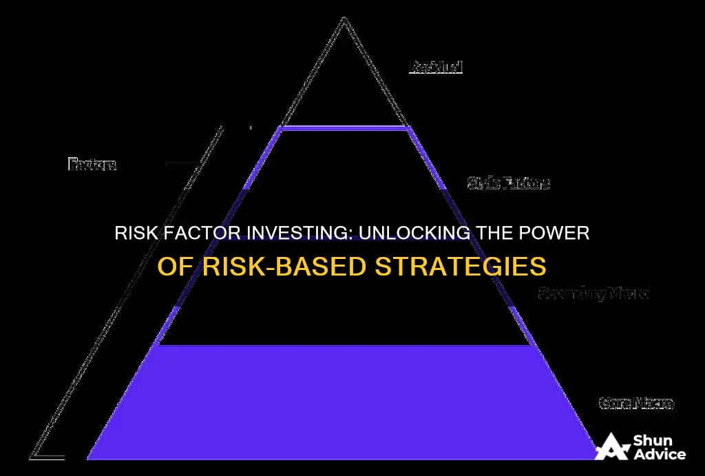 what are risk factor investing