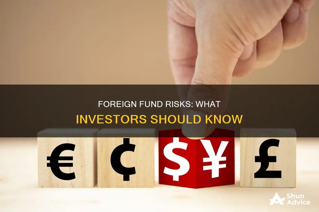 what are risks to investing in foreign funds